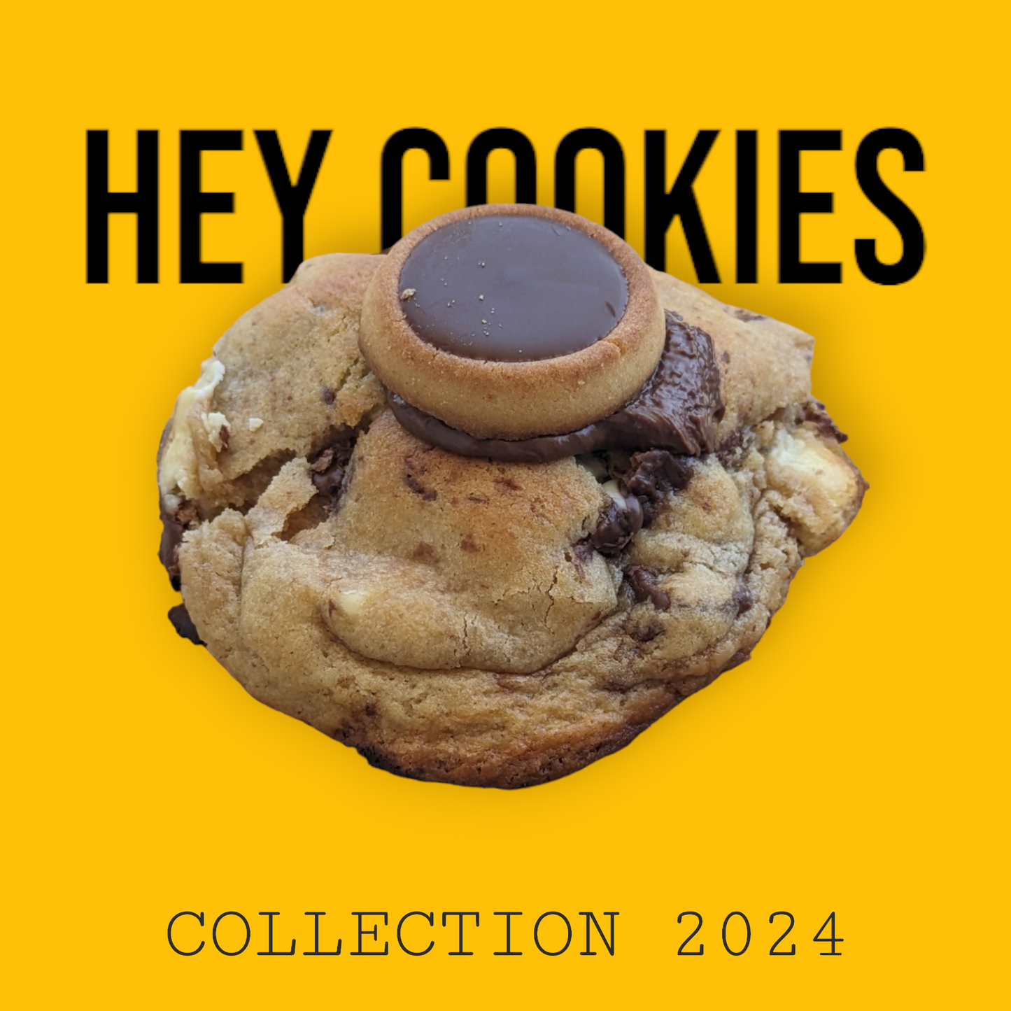 Cookie Chocochip