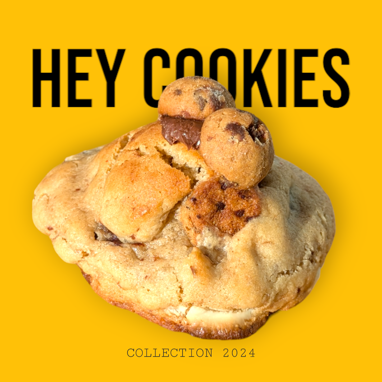 Cookie Chocochip